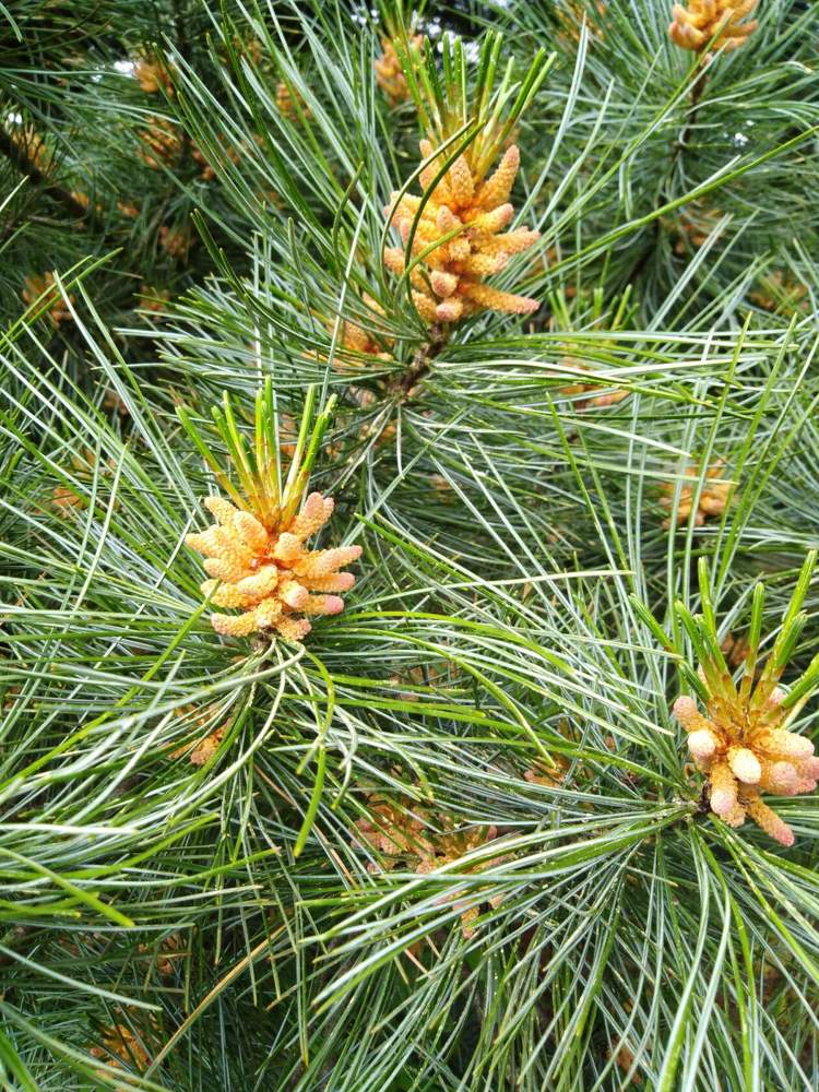 Photograph by Янина Милош