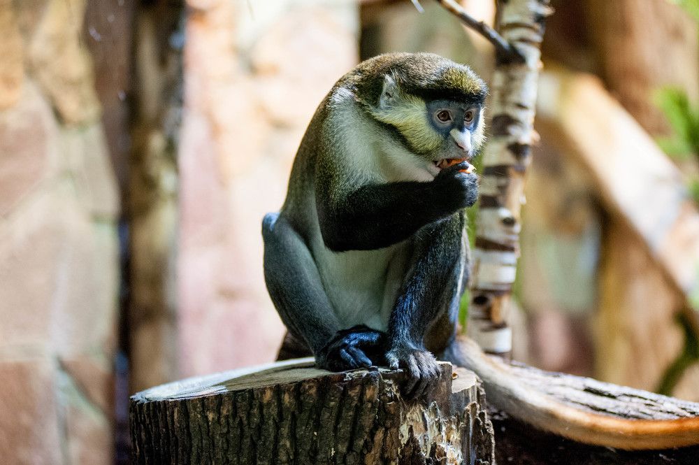 Photograph by Татьяна