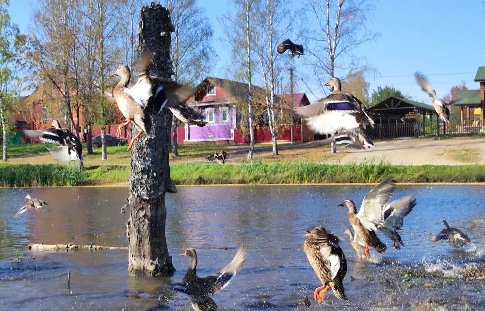 Фотография автора Марина Артемьева
