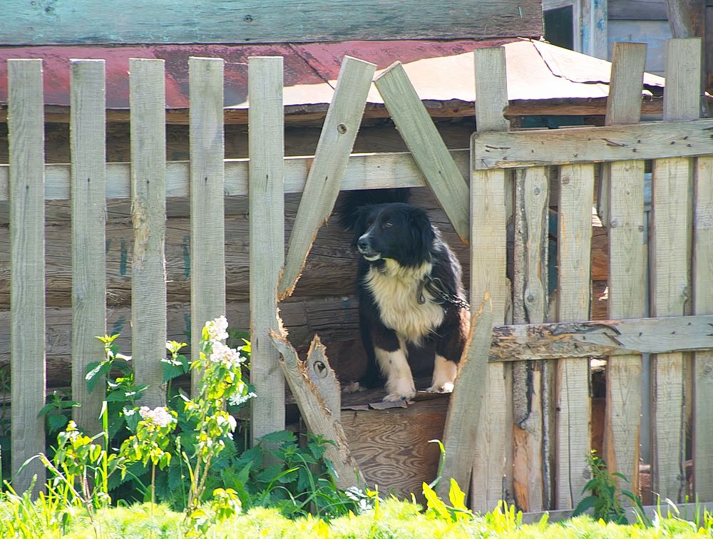 Photograph by Василий Быстрицкий