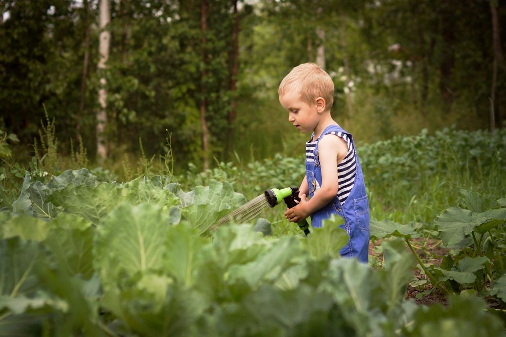 Фотография автора Людмила Коробова