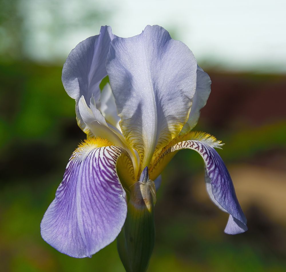 Photograph by Василий Быстрицкий