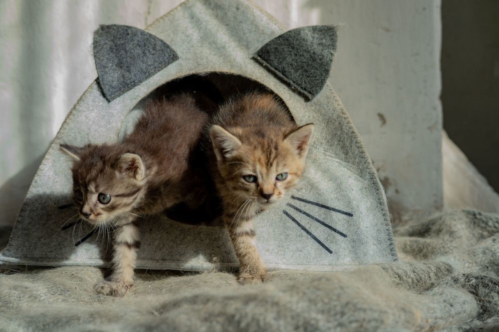 Photograph by Янина Найденцева