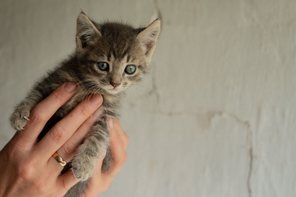 Photograph by Янина Найденцева