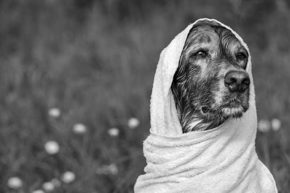 Фотография автора Константин