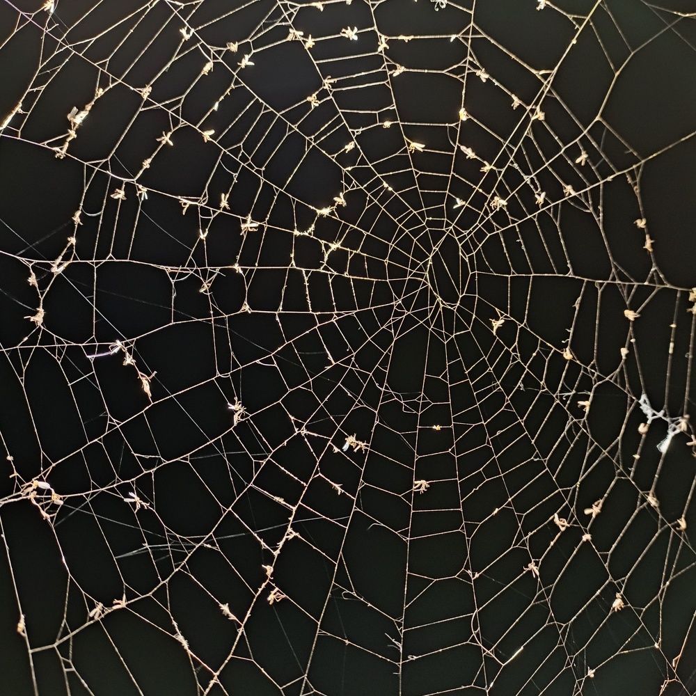 Фотография автора Анастасия Горбачева