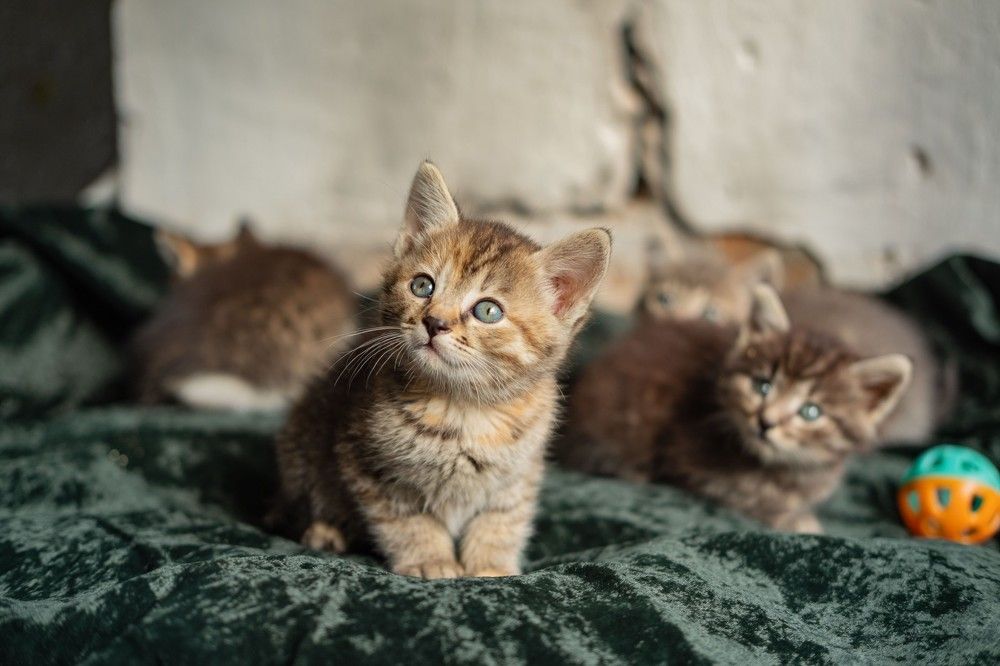 Photograph by Янина Найденцева