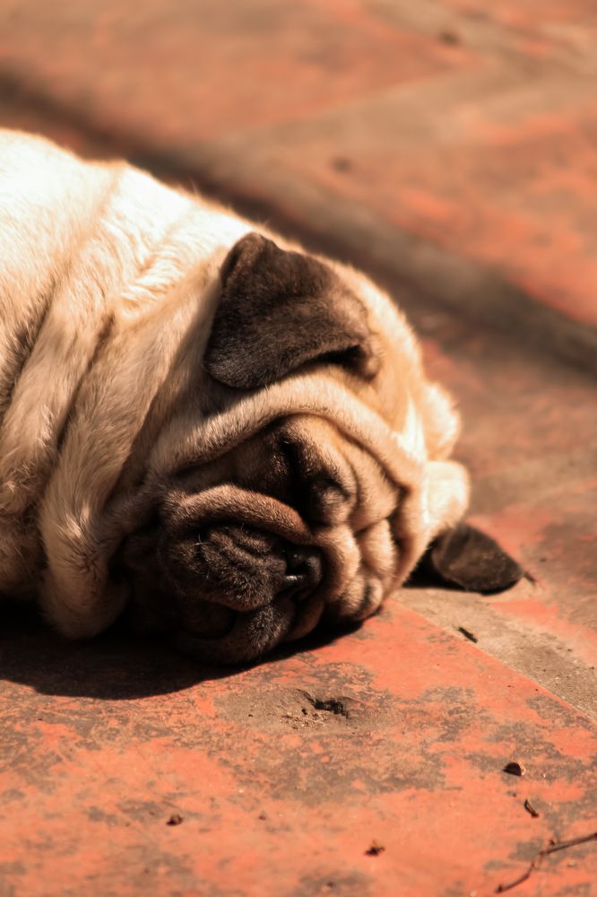 Photograph by Bùi Nguyễn