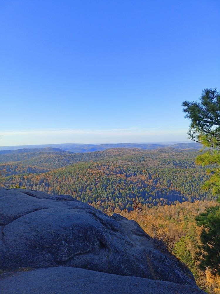 Фотография автора Анастасия Горбачева