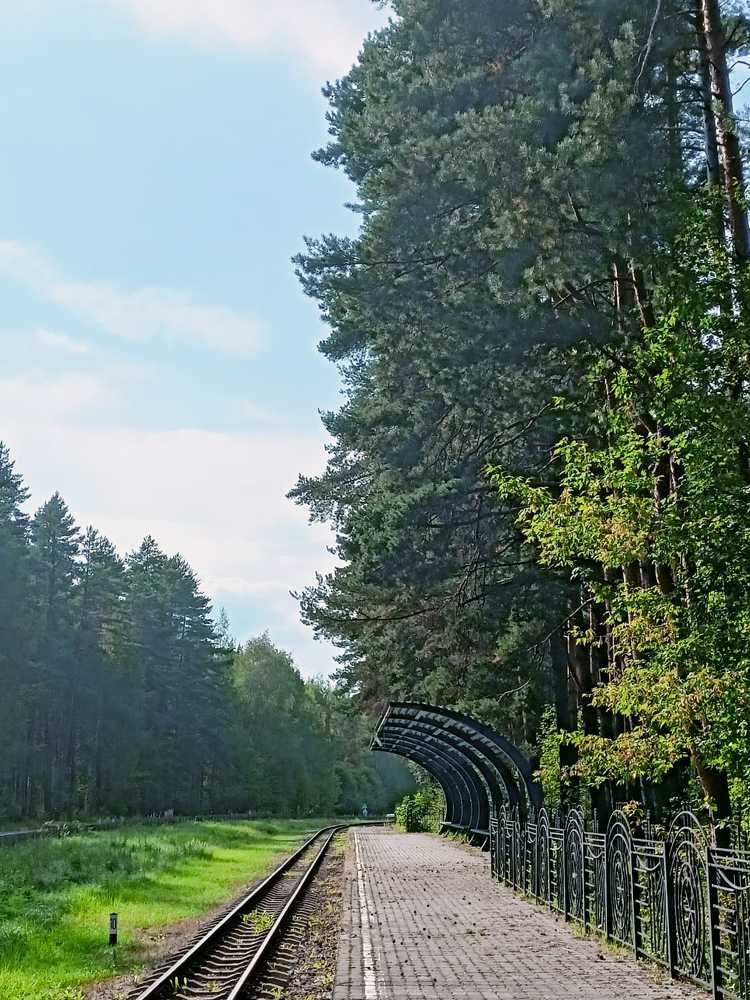 Photograph by Лена