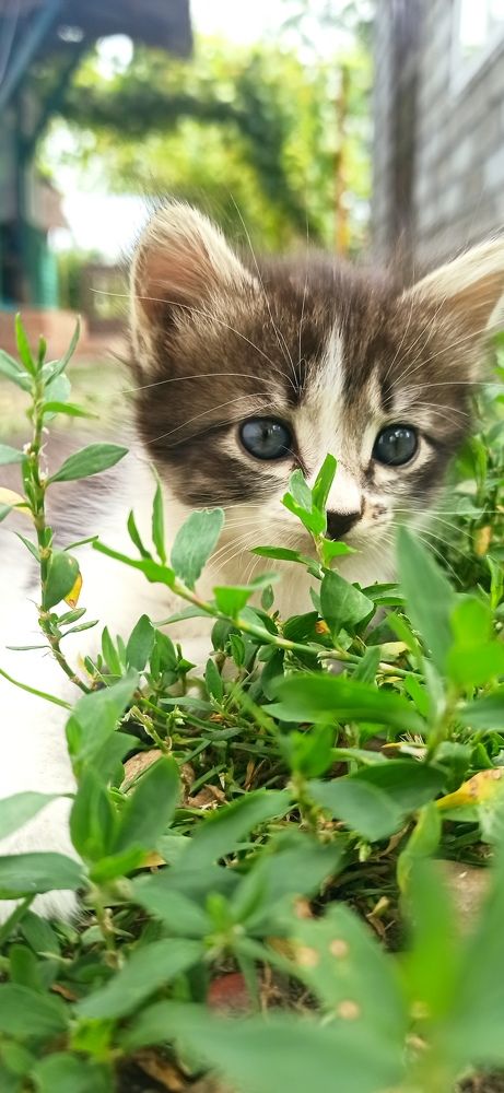 Photograph by Виорика Фоменко