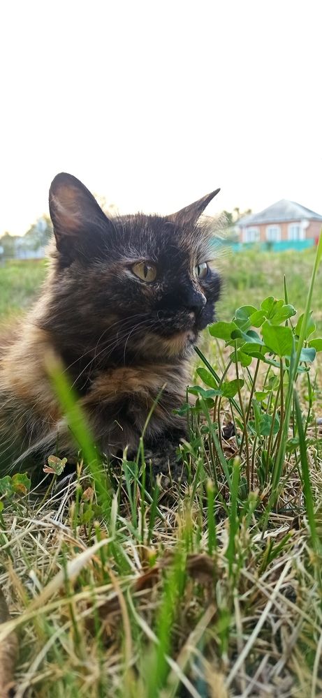 Photograph by Виорика Фоменко