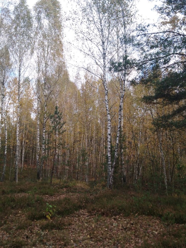 Photograph by Янина Милош