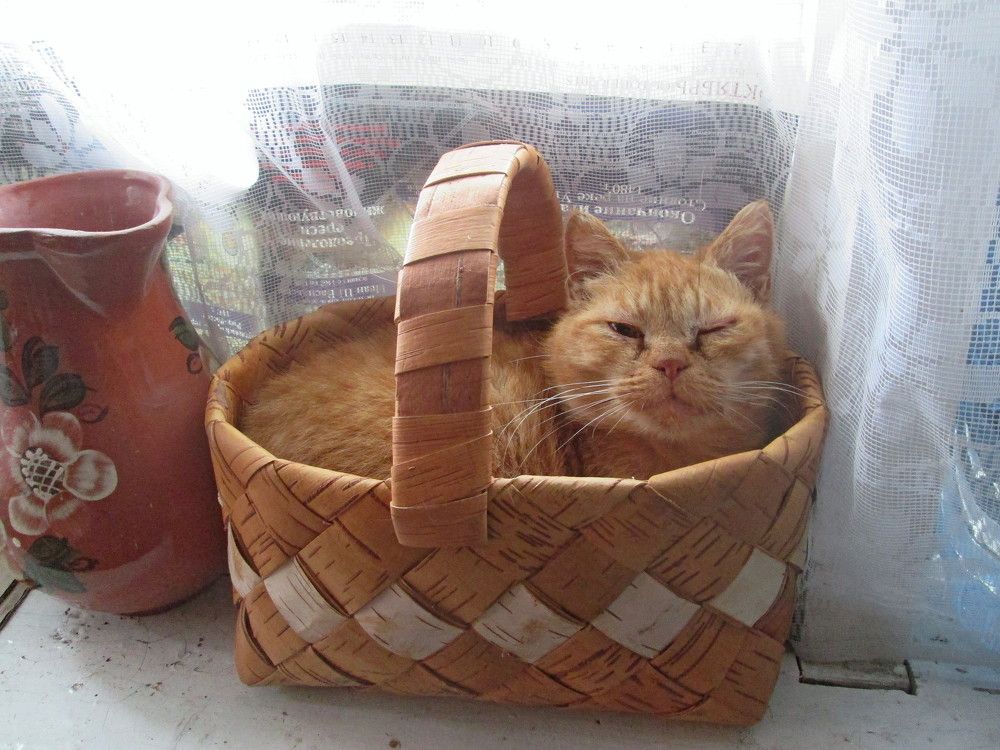 Photograph by Михаил Попов