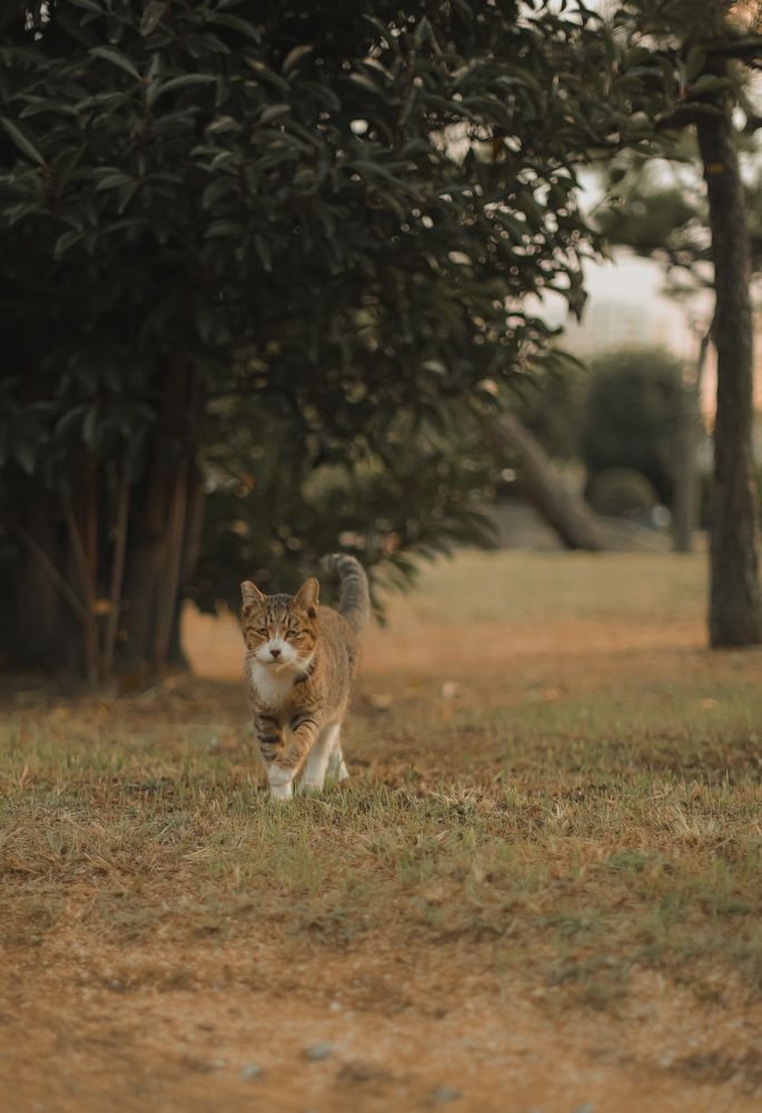 Photograph by Bùi Nguyễn