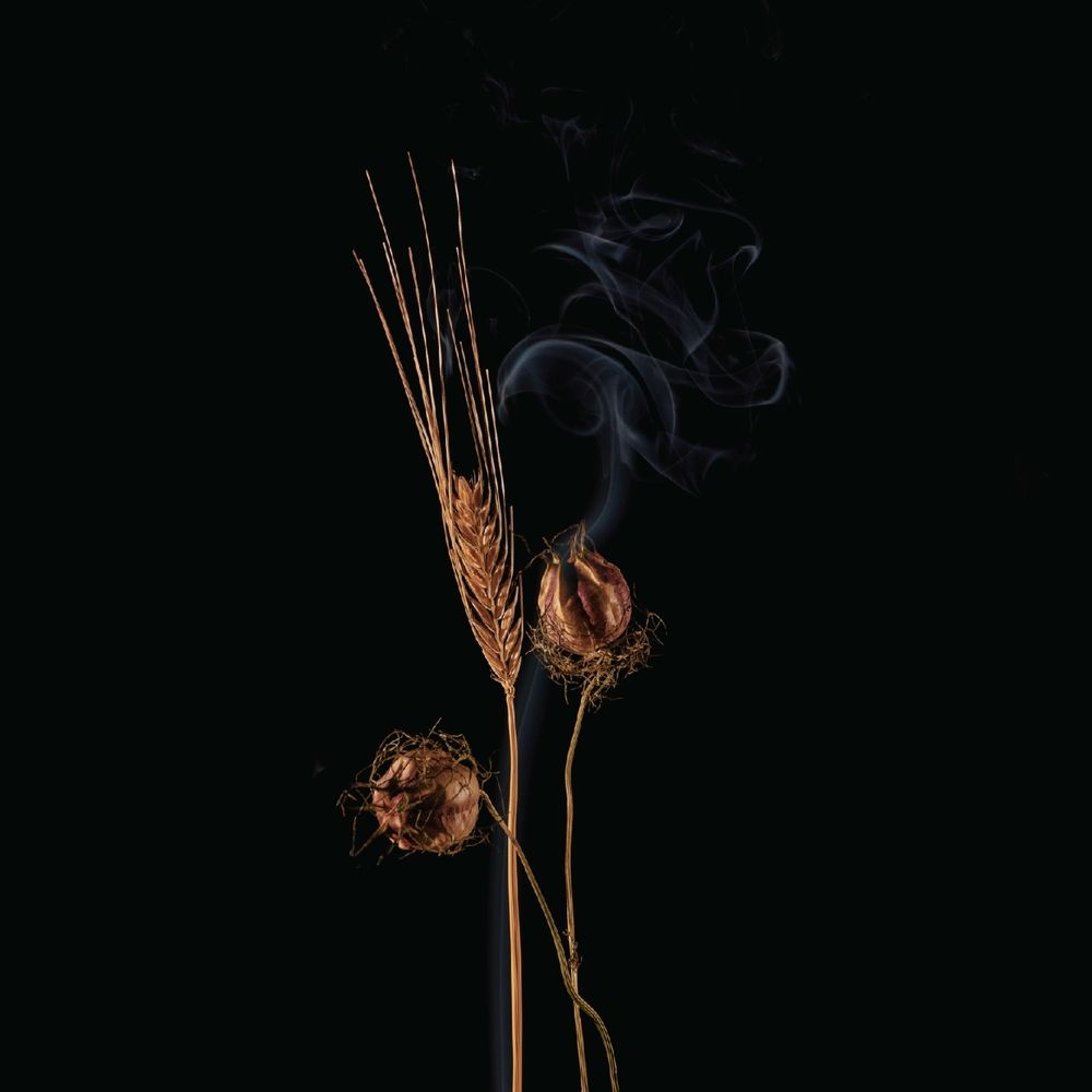 Фотография автора Ольга Попова