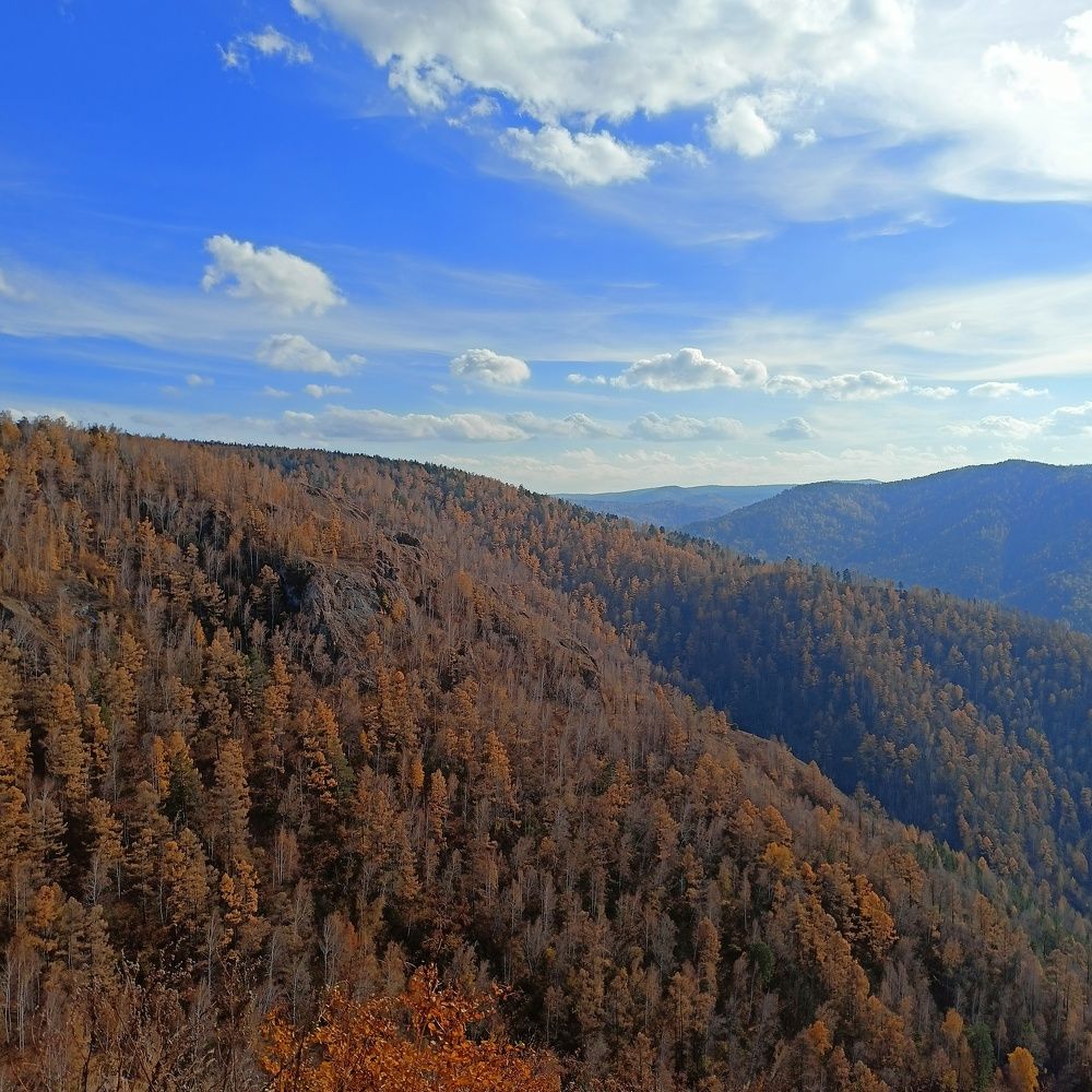 Фотография автора Анастасия Горбачева