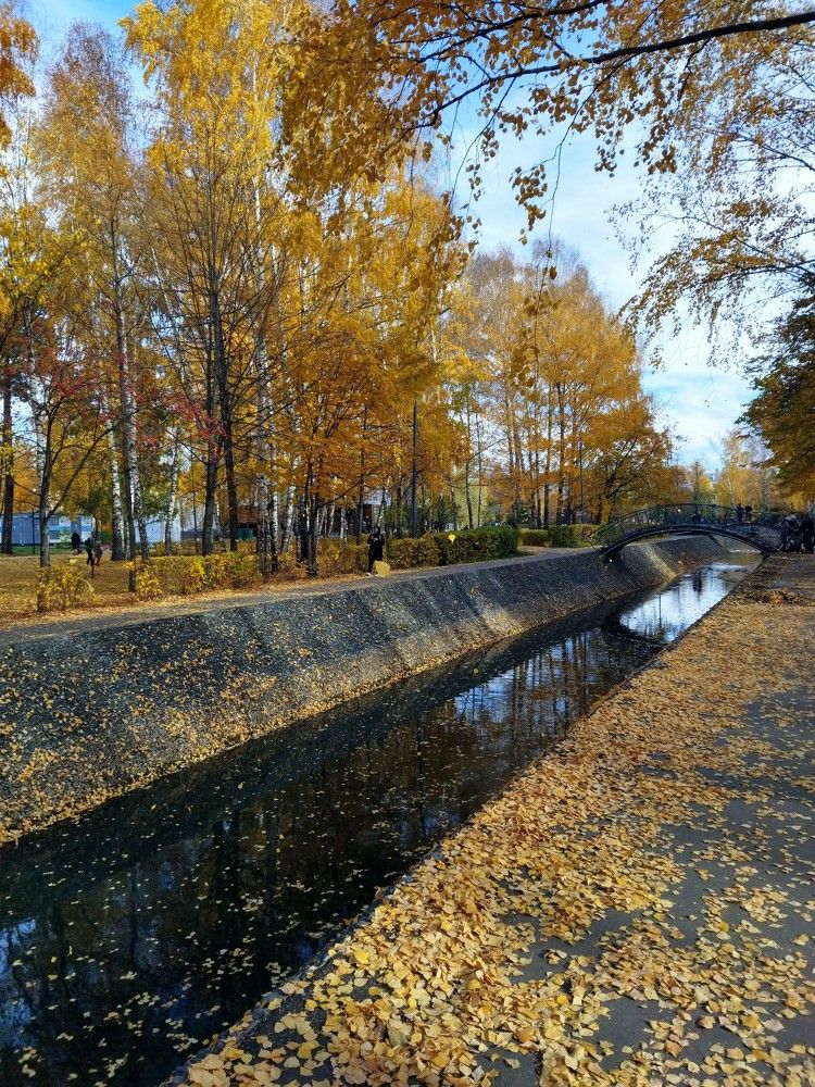 Photograph by Елена Горная