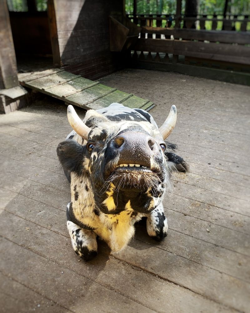 Фотография автора Марич Жданова