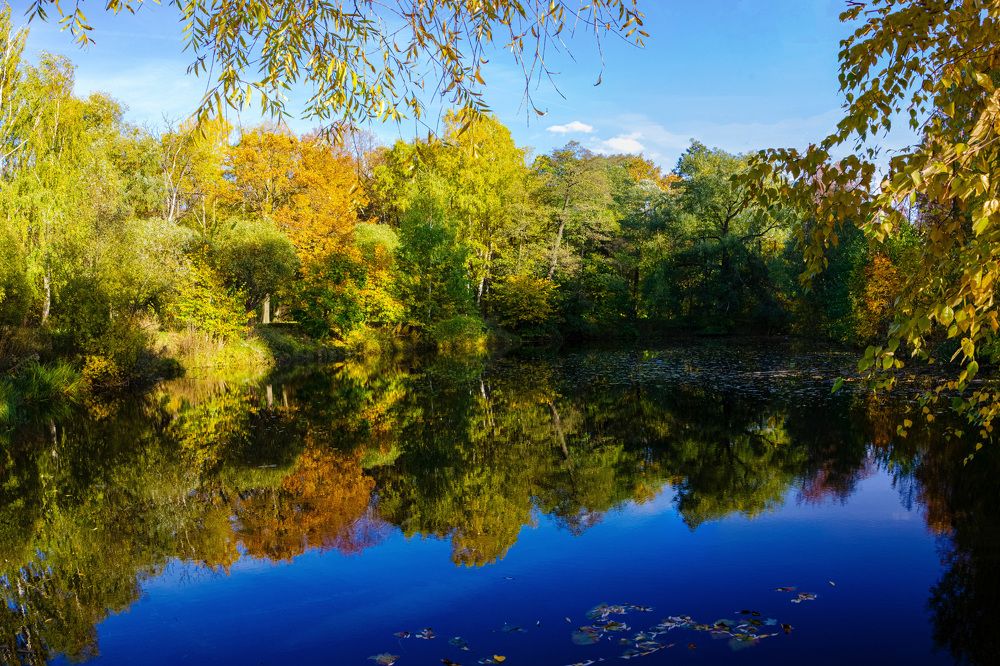 Фотография автора Алексей Бирин