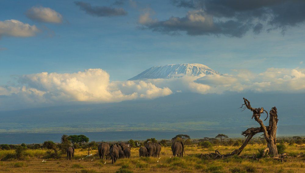 Килимснджаро