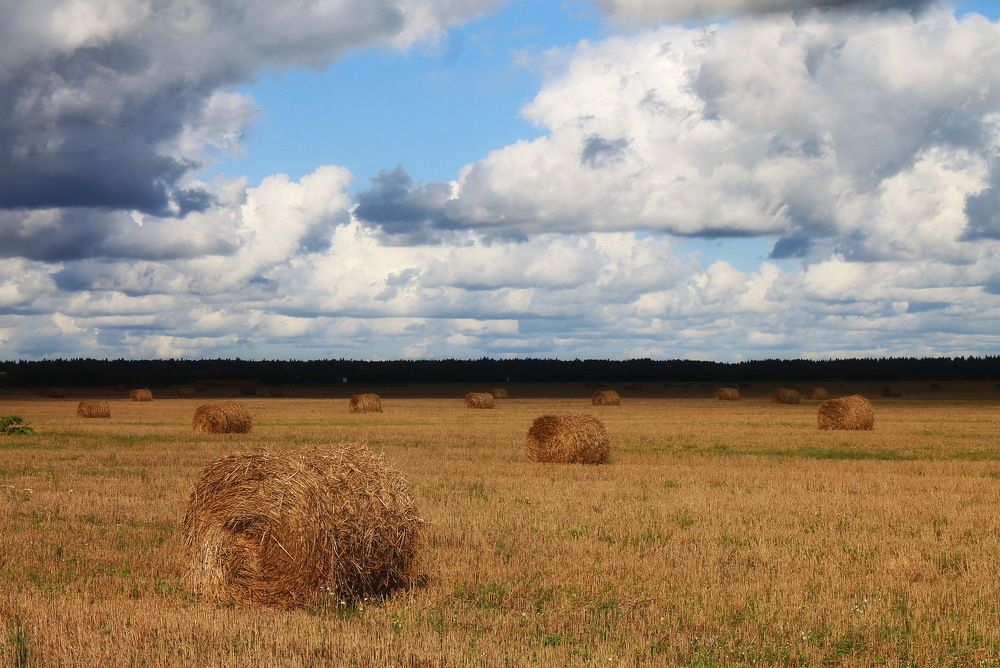 Фотография автора Алла Бойко