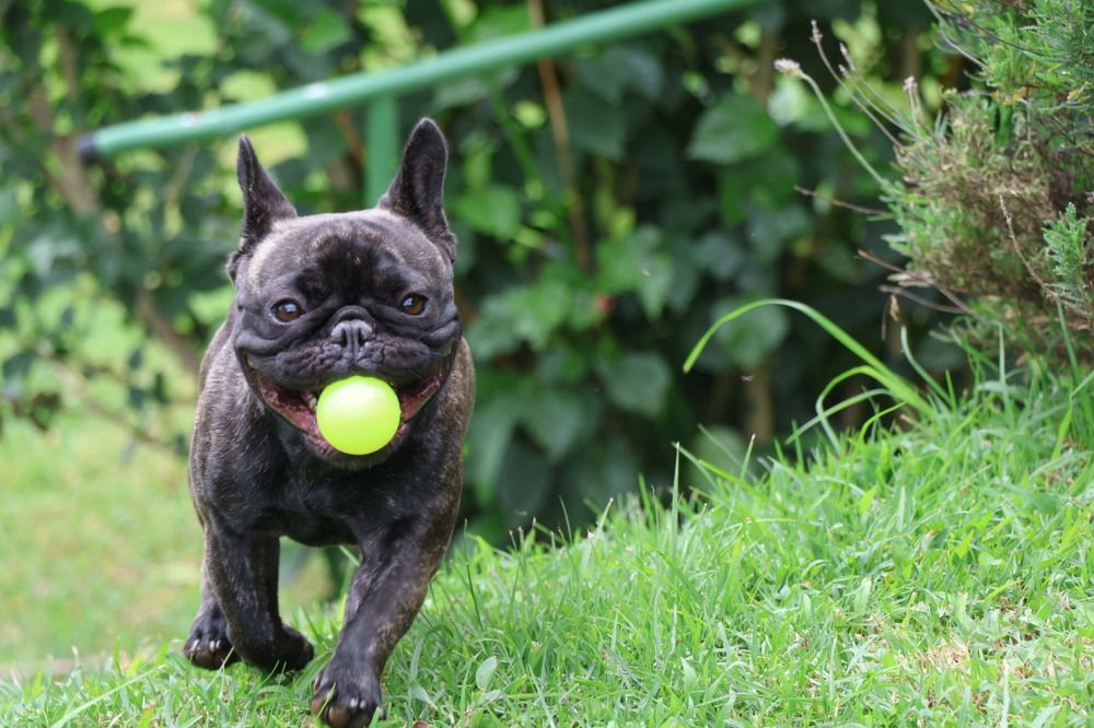 Photograph by Mauricio Mora Flores