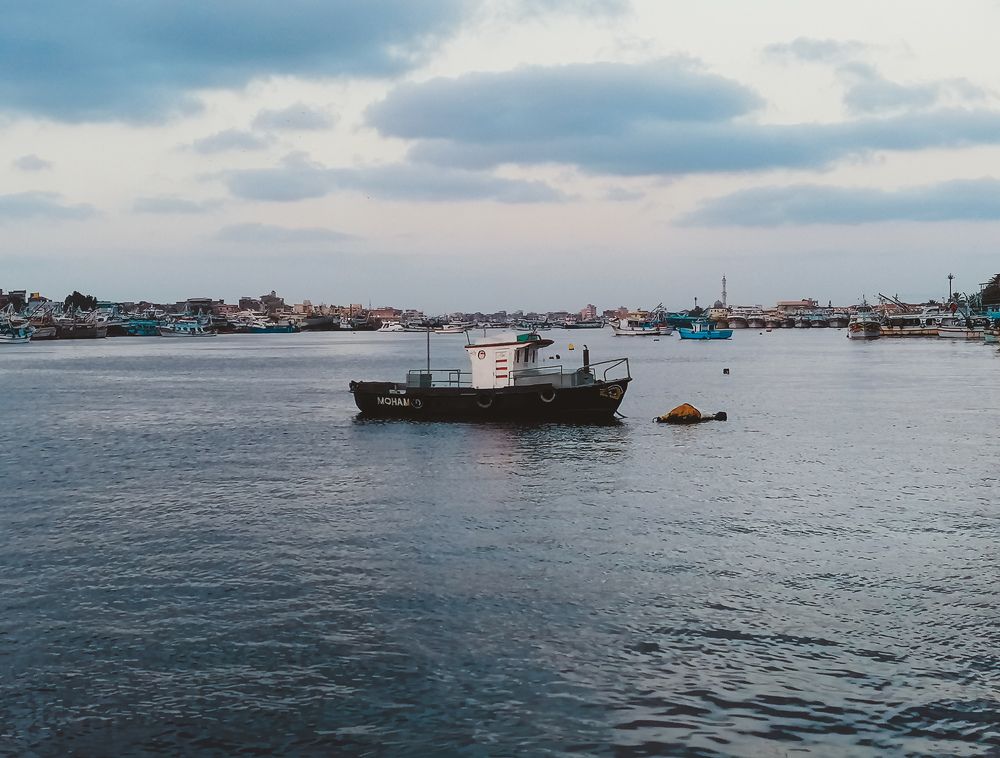 Photograph by Mohammed Halawa