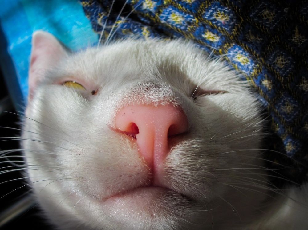 Фотография автора Ivan Karpoff