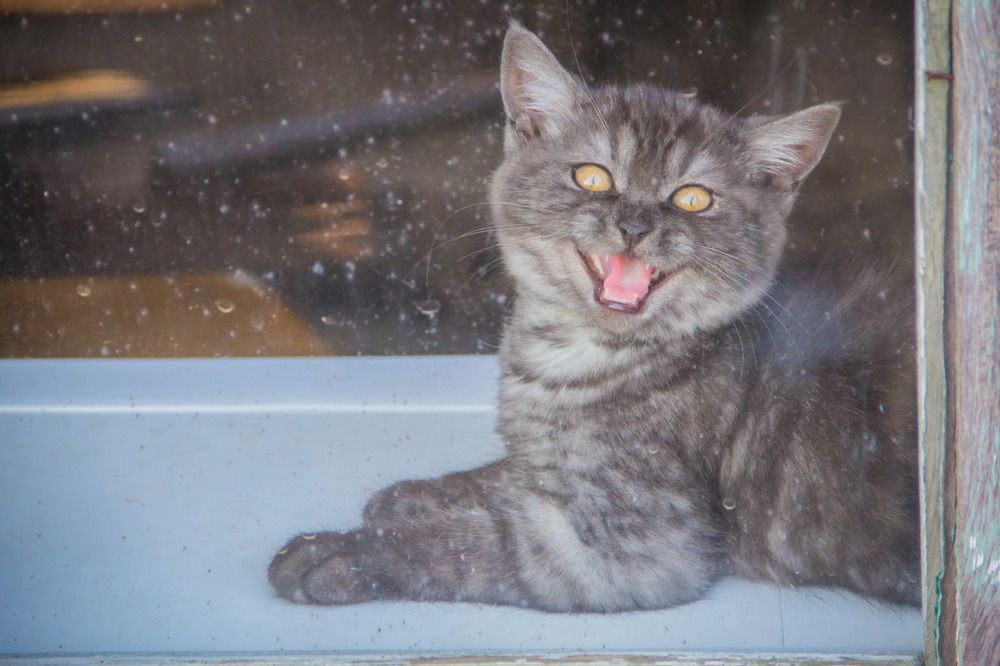 Фотография автора Ivan Karpoff