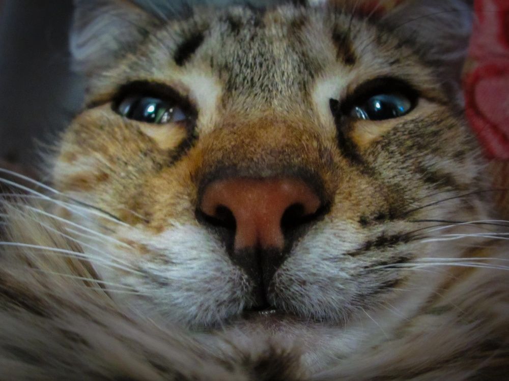 Фотография автора Ivan Karpoff