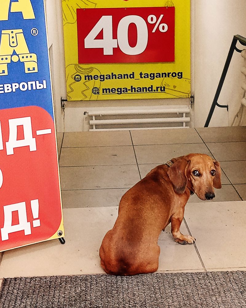 Photograph by Светлана Зубанова