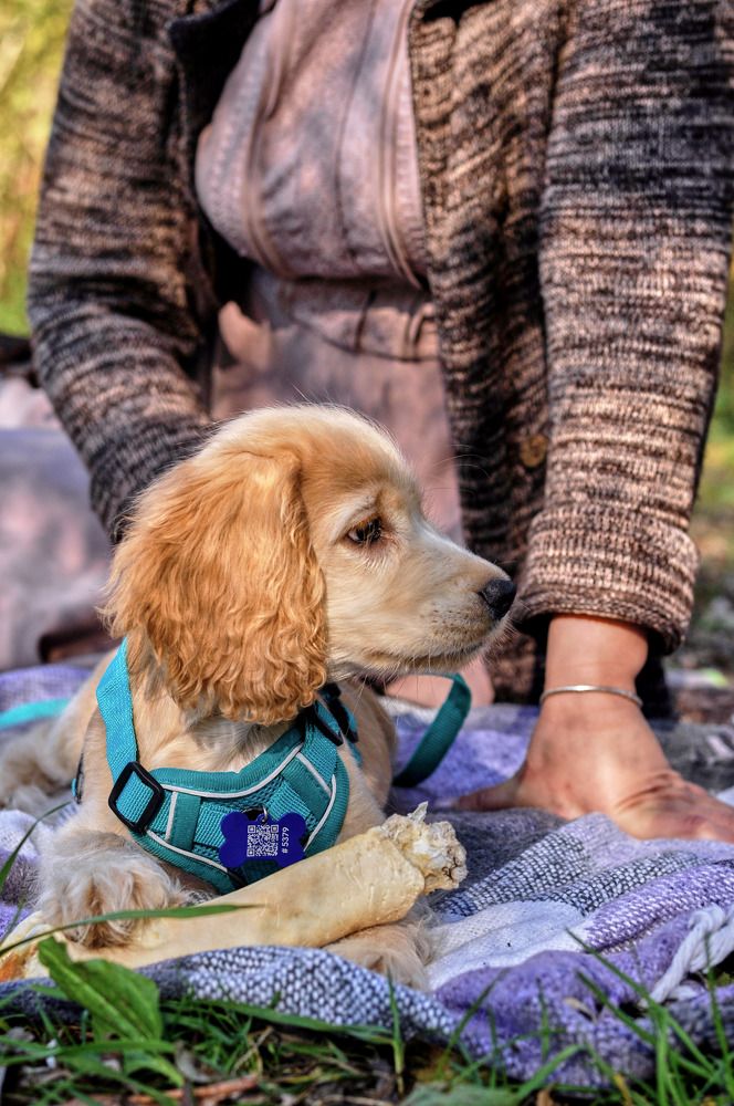 Photograph by Aleksey Mayorov