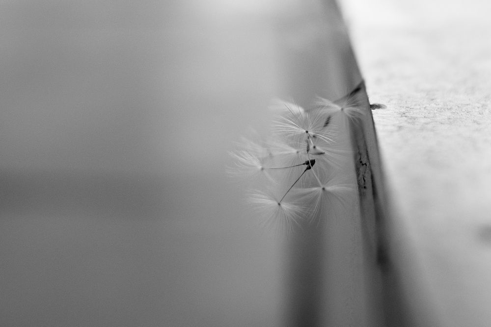 Фотография автора Алексей Арестов