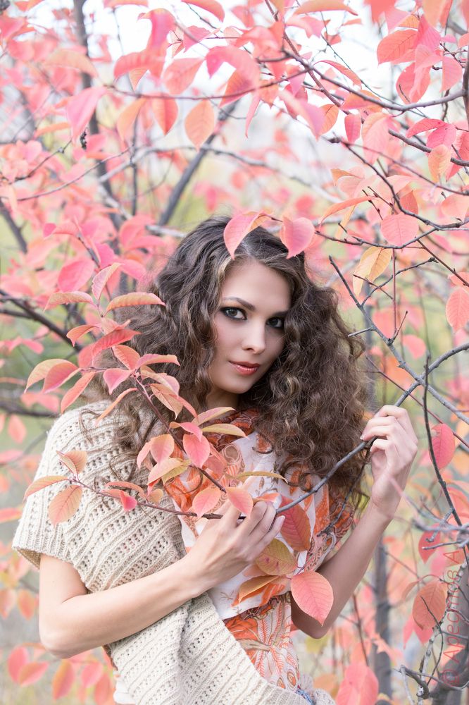 Фотография автора Алексей Арестов