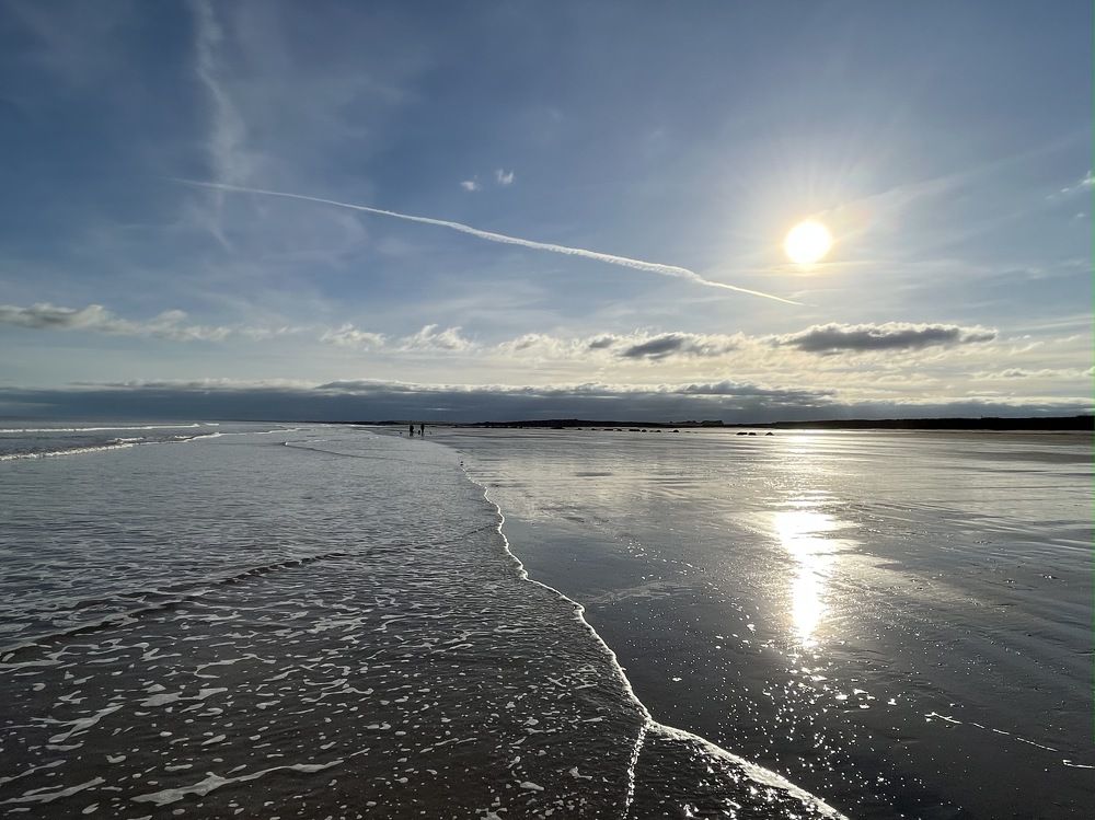 Photograph by Amy May Holt