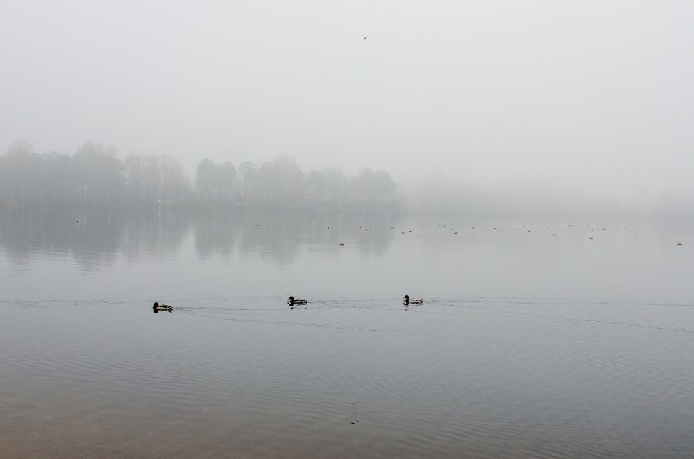 Photograph by Татьяна