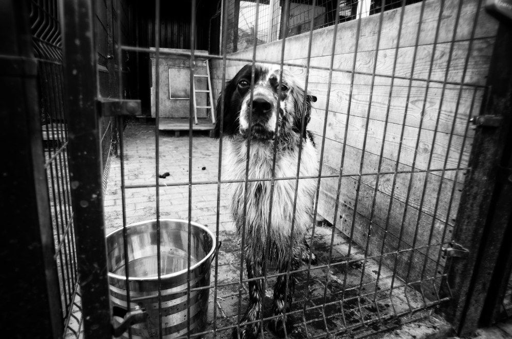 Сусуманская лирическая