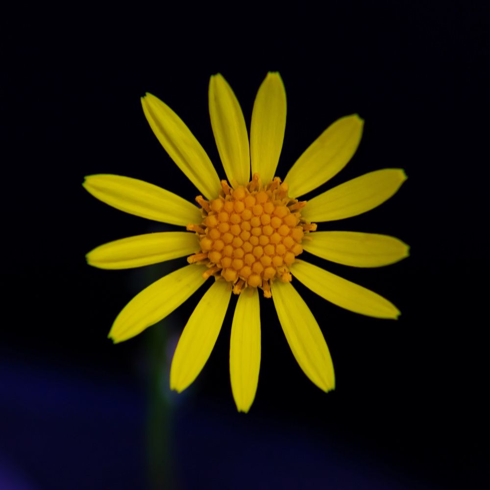 Фотография автора Алексей Бирин