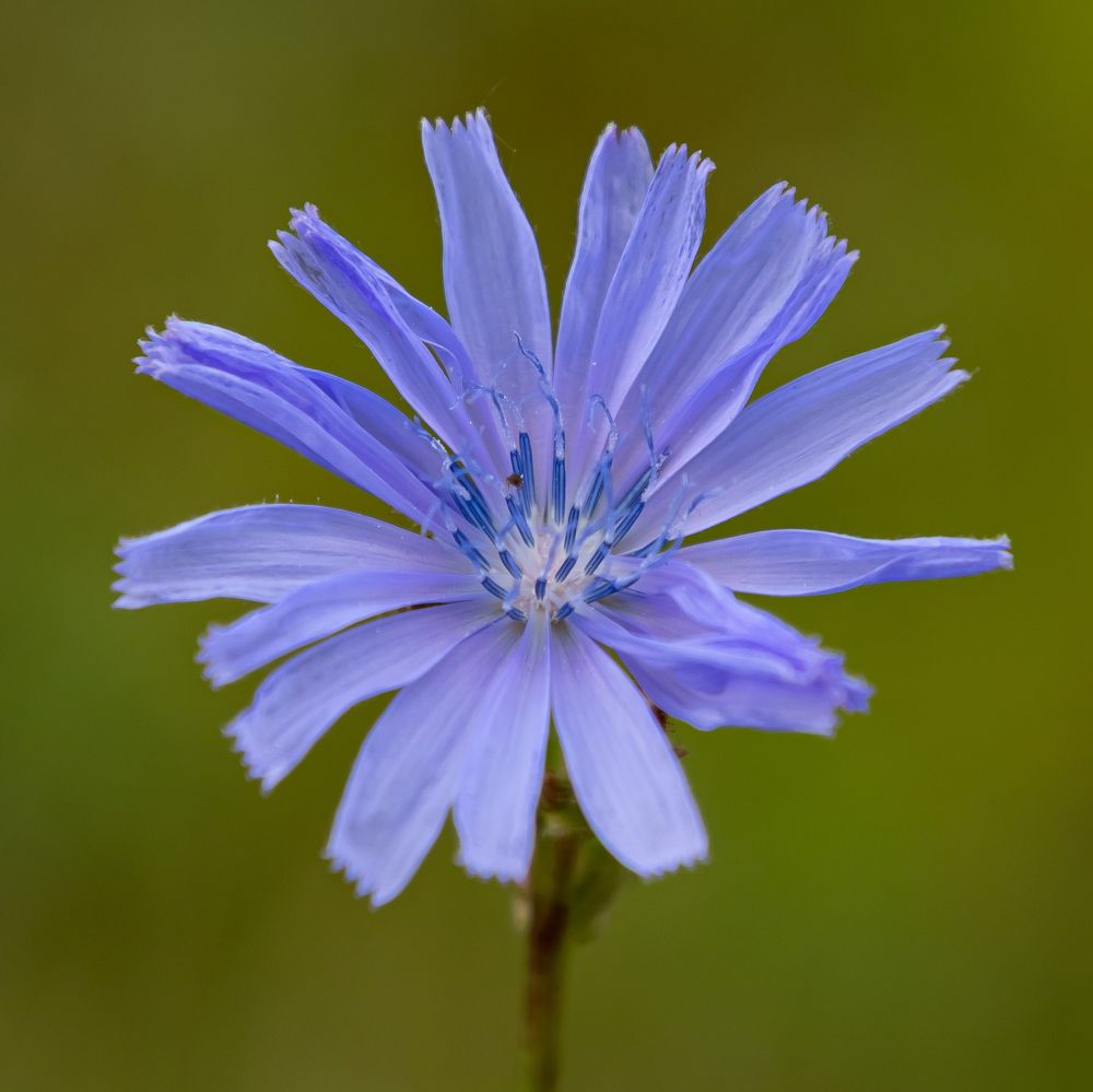 Фотография автора Алексей Бирин