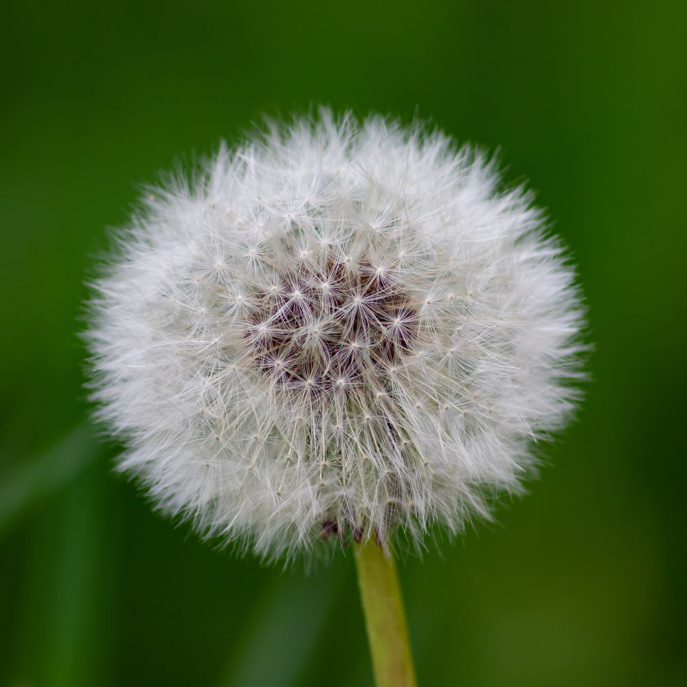 Фотография автора Алексей Бирин