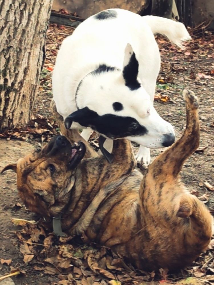 Photograph by Татьяна Долгушева