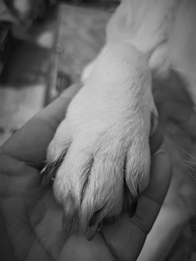 Photograph by Татьяна Долгушева