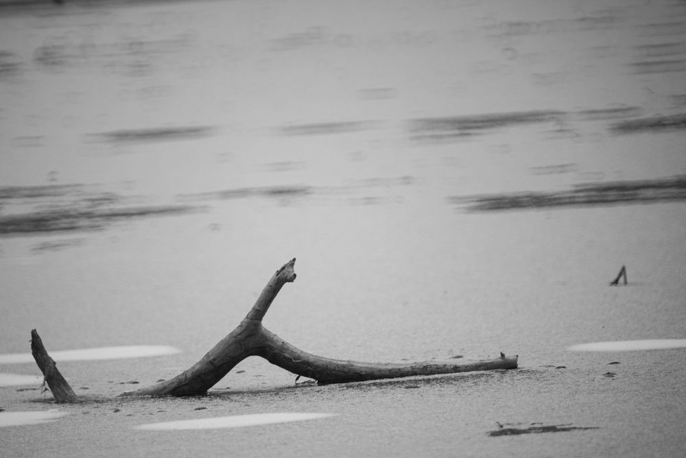 Фотография автора Алексей Арестов