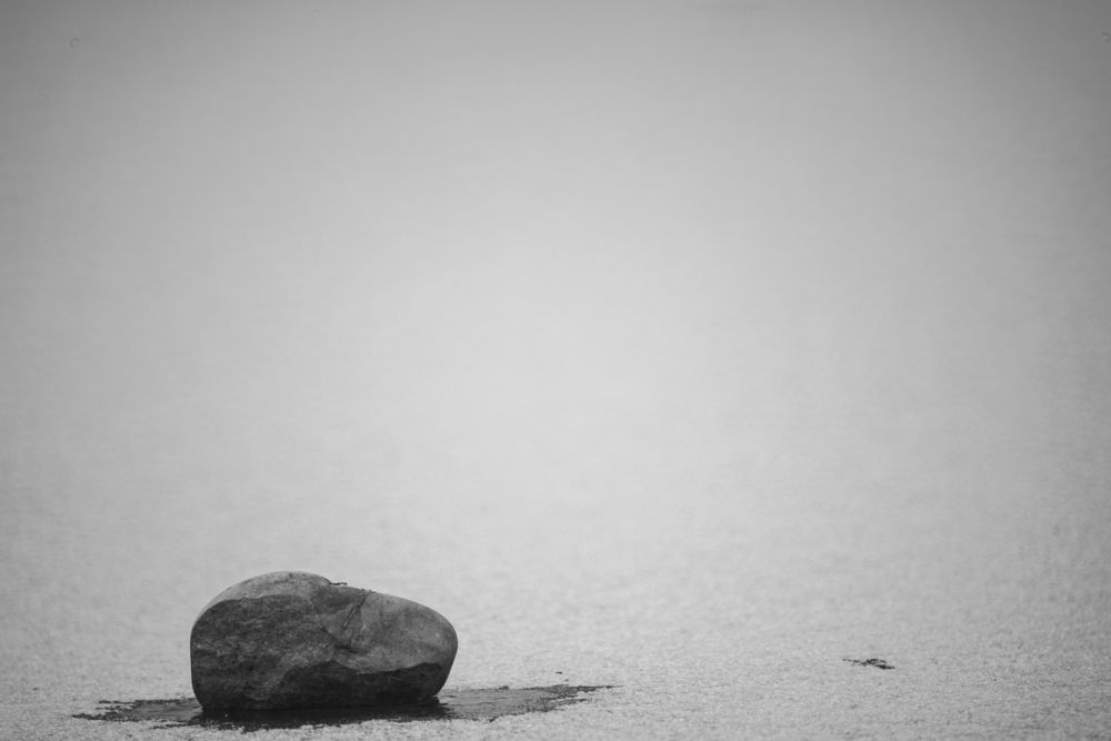 Фотография автора Алексей Арестов