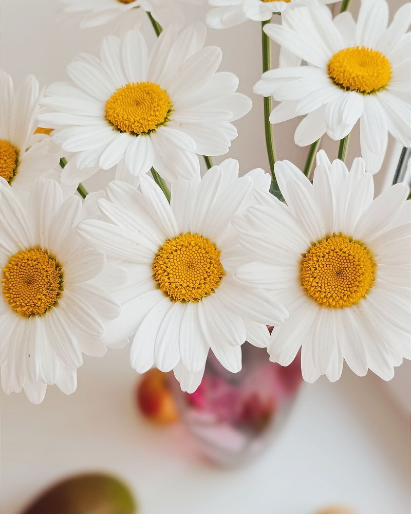 Photograph by Ирина