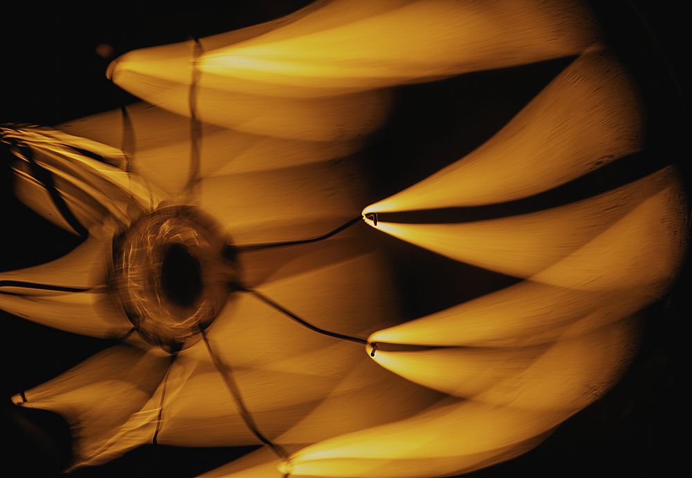 Photograph by G N RAJA