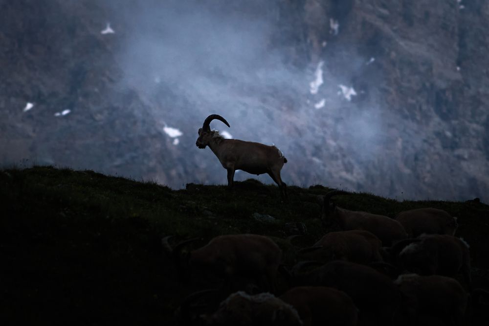 Photograph by Александр Бахаровский