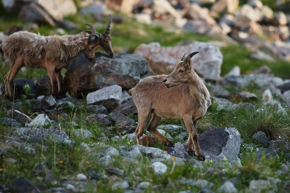 Photograph by Александр Бахаровский