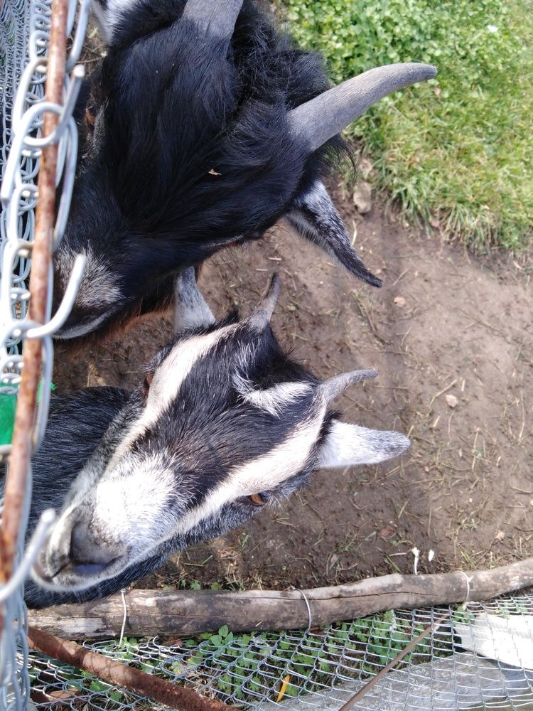 Photograph by Янина Милош